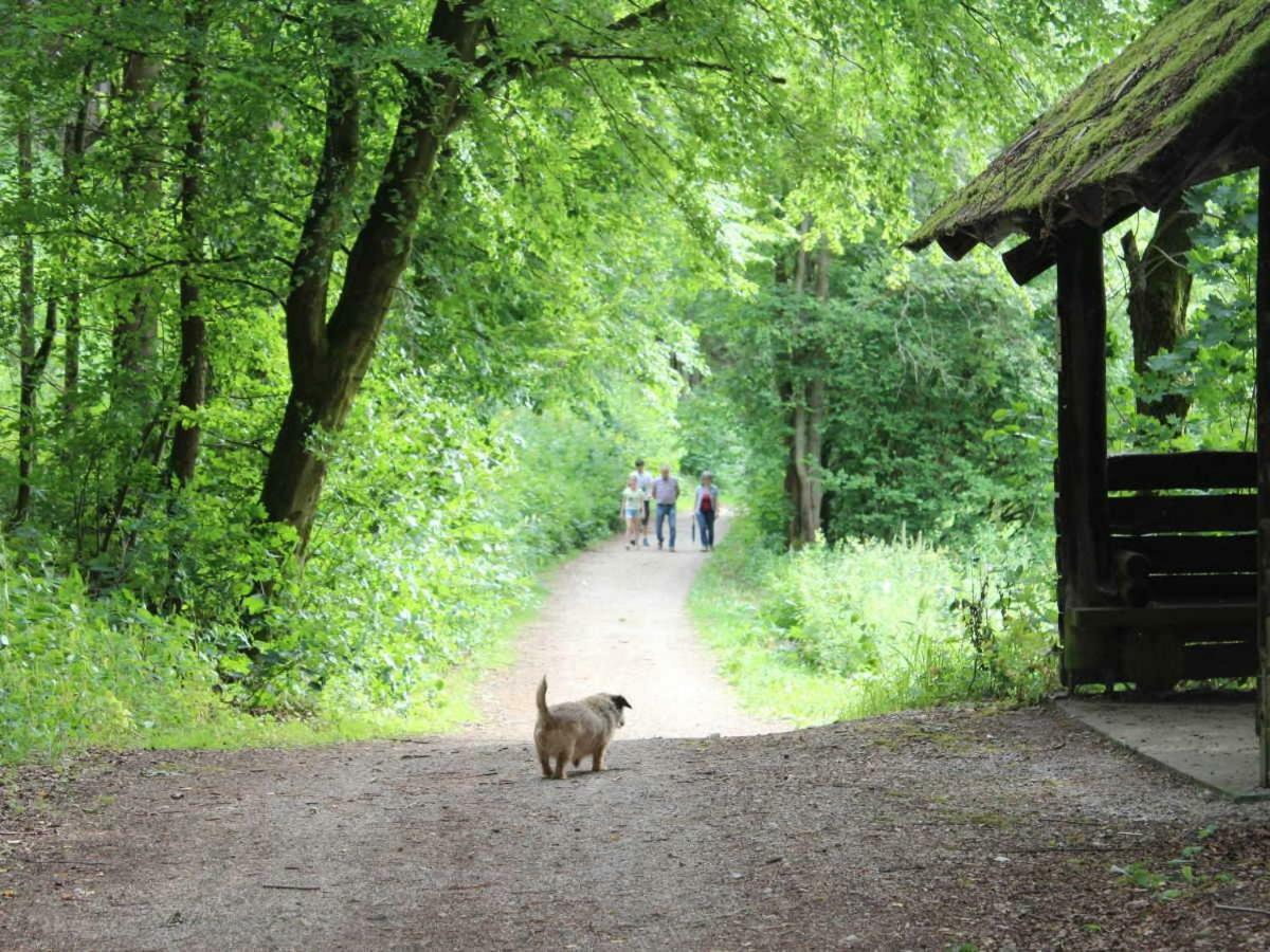 Haus Wiesenttal Waischenfeld Kültér fotó